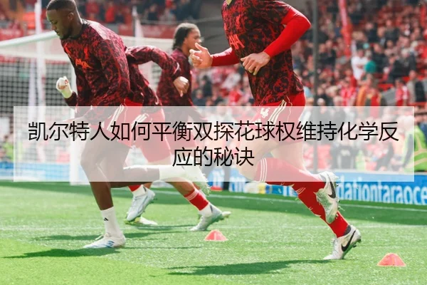 凯尔特人如何平衡双探花球权维持化学反应的秘诀